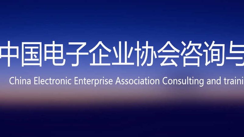 系统集成商优缺点分析：揭秘企业IT建设的双刃剑