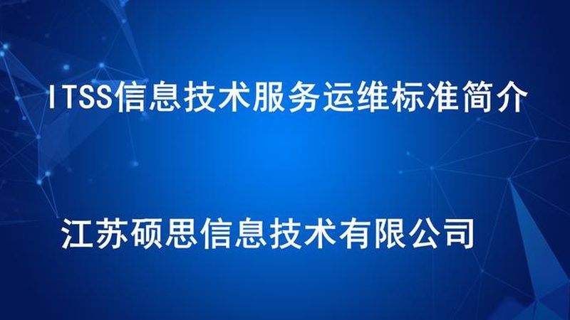 学校信息技术服务项目招标：关键要素与评估要点